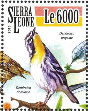 Colnect-3566-044-Yellow-throated-Warbler---Setophaga-dominica.jpg