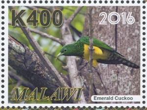 Colnect-3670-174-African-Emerald-Cuckoo%C2%A0Chrysococcyx-cupreus.jpg