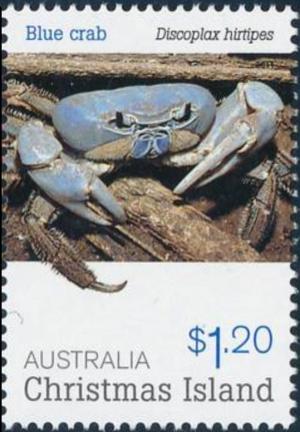 Colnect-3890-307-Christmas-Island-Blue-Crab-Discoplax-hirtipes-.jpg