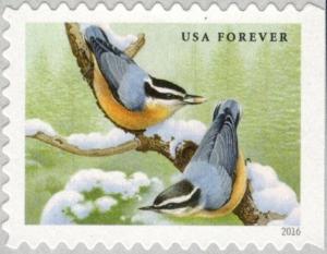 Colnect-4020-329-Red-breasted-Nuthatch-Sitta-canadensis.jpg