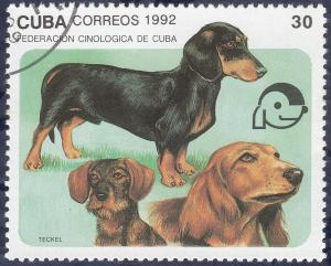 Colnect-4623-434-Various-Dachshund-Canis-lupus-familiaris-Breeds.jpg