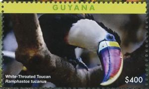Colnect-4634-622-White-throated-Toucan----Ramphastos-tucanu.jpg