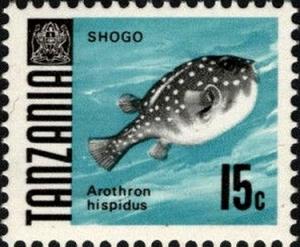 Colnect-4912-074-White-spotted-Puffer-Arothron-hispidus-.jpg