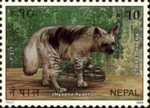 Colnect-4969-272-Striped-Hyena-Hyaena-hyaena.jpg