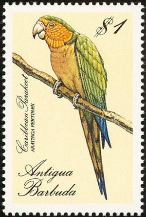 Colnect-5174-582-Brown-throated-Parakeet-Aratinga-pertinax.jpg