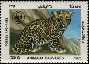 Colnect-5917-344-Leopard-Cub-Panthera-pardus.jpg
