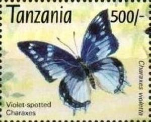 Colnect-6348-895-Violet-spotted-Charaxes-Charaxes-violetta.jpg