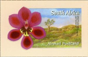 Colnect-6360-030-Springbok-Painted-Petals-Lapeirousia-silonoides.jpg