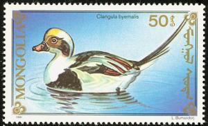 Colnect-860-479-Long-tailed-Duck-Clangula-hyemalis.jpg
