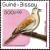 Colnect-1175-690-African-Collared-Dove-Streptopelia-roseogrisea.jpg