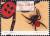 Colnect-4808-549-Ladybird-Spider-Eresus-kollari.jpg