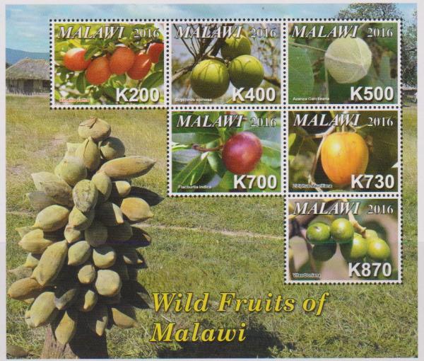 Colnect-4513-707-Wild-Fruits-of-Malawi.jpg