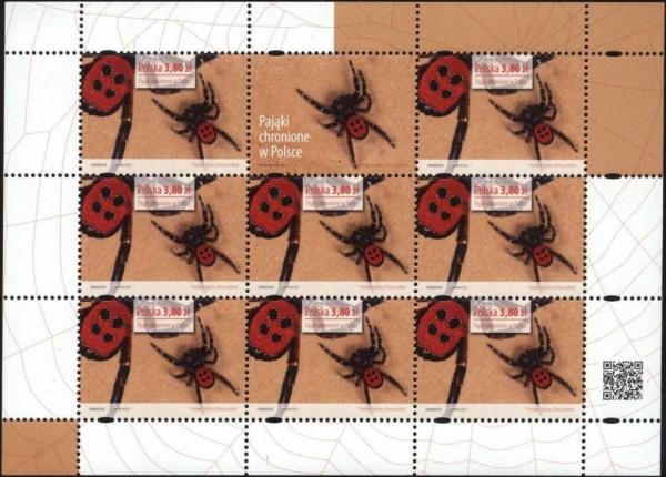 Colnect-4808-444-Ladybird-Spider-Eresus-kollari.jpg