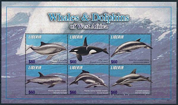Colnect-7374-165-Whales-and-Dolphins-of-West-Africa.jpg