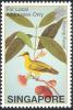 Colnect-1606-830-Black-naped-Oriole-Oriolus-chinensis.jpg