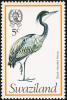 Colnect-1661-873-Black-headed-Heron-Ardea-melanocephala.jpg