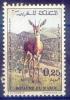 Colnect-1894-862-Slender-horned-Gazelle-Gazella-leptoceros.jpg