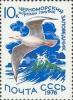 Colnect-194-712-Slender-billed-Gull-Chroicocephalus-genei.jpg