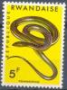 Colnect-2169-510-Striped-Sand-Snake-Psammophis-sibilans.jpg