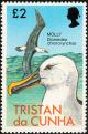 Colnect-1967-106-Atlantic-Yellow-nosed-Albatross-Diomedea-chlororhynchos-.jpg