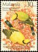 Colnect-4159-670-Black-naped-Oriole-Oriolus-chinensis.jpg