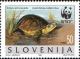 Colnect-688-871-European-pond-tortoise-Emys-orbicularis.jpg