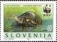 Colnect-688-872-European-pond-tortoise-Emys-orbicularis.jpg