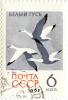 Bird_Snow_Goose_1962_stamp.jpg