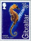 Colnect-121-072-Long-snouted-Seahorse-Hippocampus-ramulosus.jpg