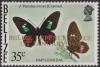 Colnect-1410-054-Arcas-Cattleheart-Butterfly-Parides-arcas.jpg