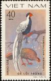 Colnect-1613-201-Silver-Pheasant-Lophura-nycthemera.jpg
