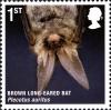 Colnect-700-926-Brown-Long-eared-Bat-Plecotus-auritus.jpg