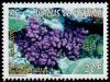 Colnect-902-350-Seabed-with-coral.jpg