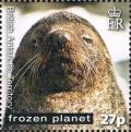 Colnect-2887-986-Fur-Seal-Arctocephalus-sp.jpg