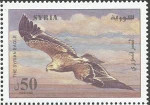 Colnect-1650-761-Golden-Eagle-Aquila-chrysaetos.jpg