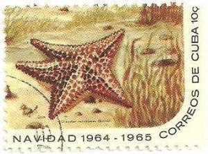Colnect-1726-373-Reticulated-Sea-Star-Oreaster-celiculatus.jpg