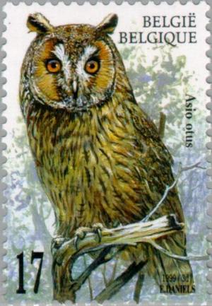 Colnect-187-417-Long-eared-Owl-Asio-otus.jpg