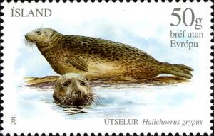Colnect-1965-464-Gray-Seal-Halichoerus-grypus.jpg