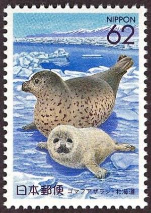 Colnect-2178-838-Spotted-Seal-Phoca-vitulina-largha.jpg