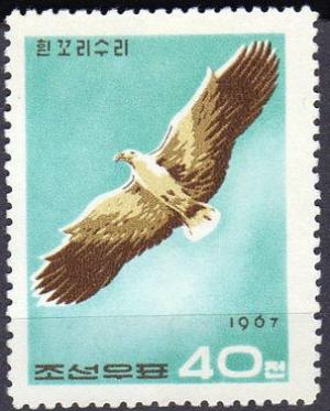 Colnect-2614-051-Steller--s-sea-eagle-Haliaetus-pelagicus.jpg