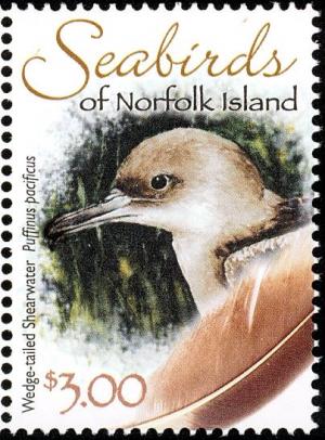 Colnect-3790-931-Wedge-tailed-Shearwater-nbsp-Ardenna-pacifica.jpg