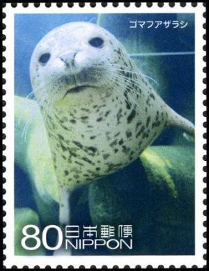 Colnect-5041-604-Spotted-Seal-Phoca-Vitulina-Largha.jpg
