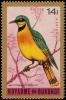 Colnect-1156-609-Little-Bee-eater-nbsp-Merops-pusillus.jpg