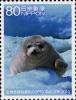 Colnect-4132-697-Spotted-Seal-Phoca-vitulina-largha.jpg