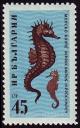 Colnect-1103-193-Short-snouted-Seahorse-Hippocampus-hippocampus.jpg