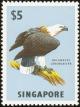 Colnect-4178-049-White-bellied-Sea-eagle-Haliaeetus-leucogaster.jpg