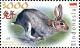 Colnect-4524-060-Year-of-the-Rabbit.jpg