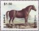Colnect-4822-059-Year-of-the-Horse.jpg