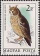 Colnect-603-647-Long-eared-Owl-Asio-otus.jpg