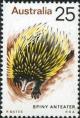 Colnect-683-127-Spiny-Anteater-Short-beaked-Echidna-Tachyglossus-aculeatus.jpg